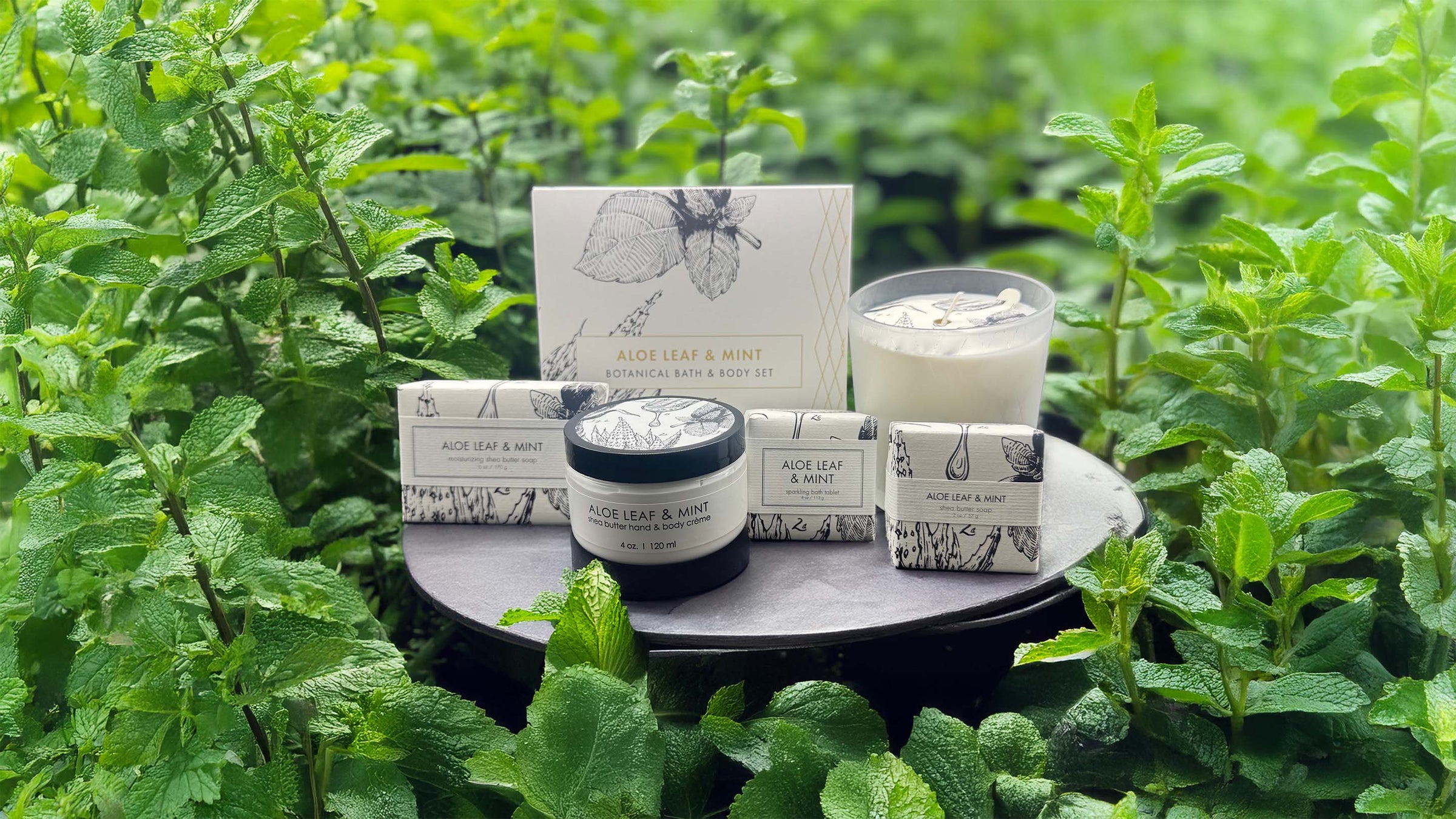Aloe Leaf & Mint