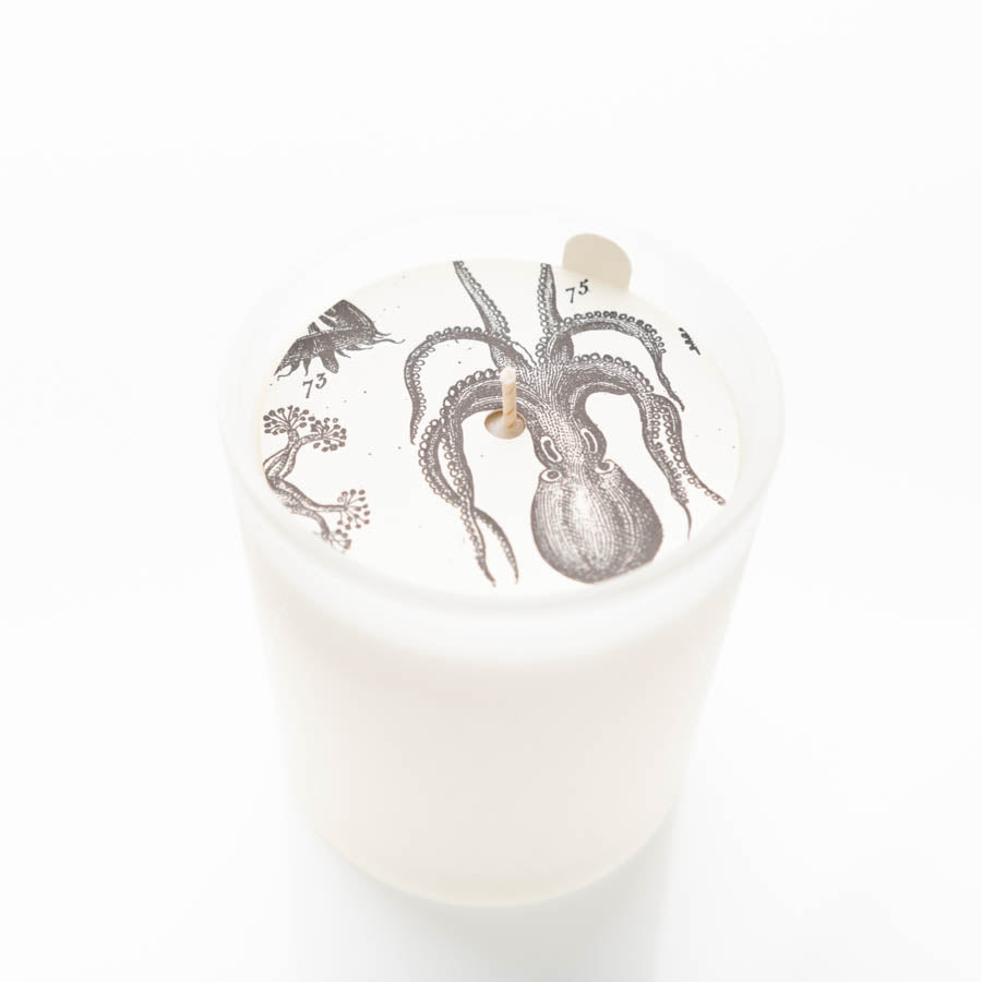 A white cylindrical candle features illustrations of marine life on its top surface, including an octopus and other sea creatures. The white background contrasts with the black ink illustrations, giving the candle a vintage and artistic appearance.