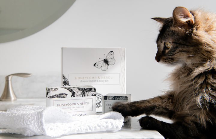 A fluffy cat pawing at a white washcloth on a marble countertop. Next to the cat are two bars of Honeycomb & Neroli soap and their respective packaging, including a botanical bath and body set box adorned with a butterfly illustration.